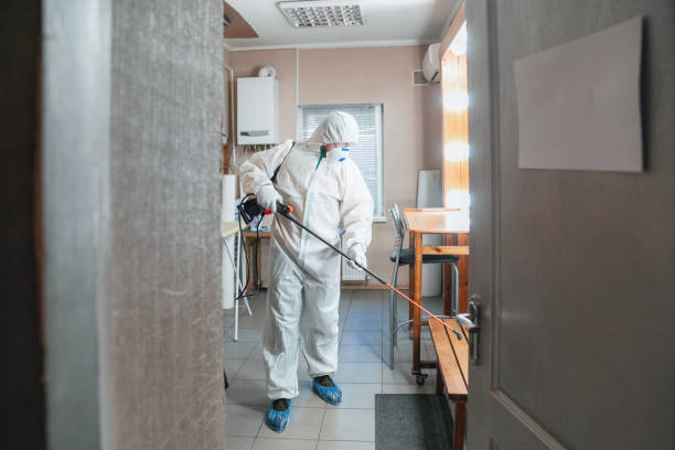 Best Emergency Mold Remediation  in Drexel Heights, AZ