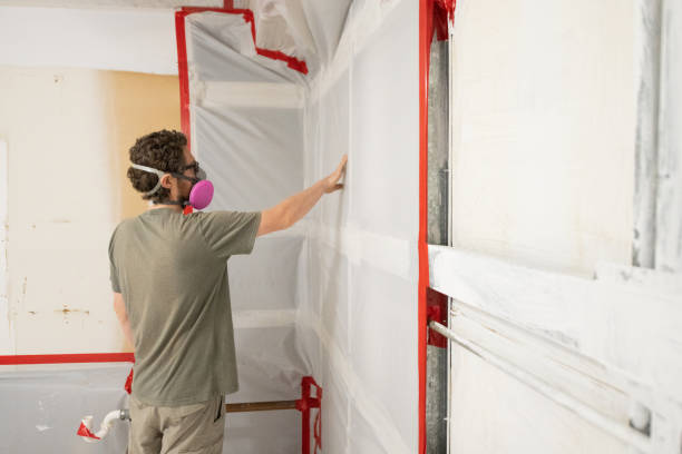 Mold Removal for HVAC Installations in Drexel Heights, AZ