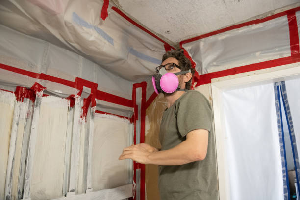 Drexel Heights, AZ Mold Removal Company