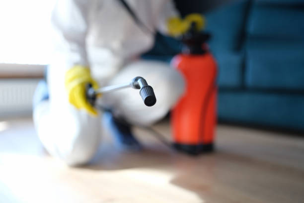 Best Mold Remediation for Healthcare Facilities  in Drexel Heights, AZ