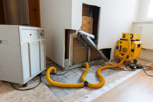 Best Dehumidification Services  in Drexel Heights, AZ