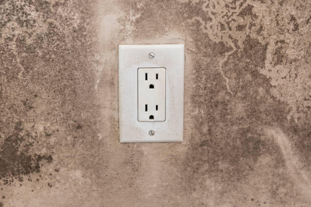 Best Airborne Mold Testing  in Drexel Heights, AZ