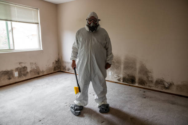 Best Commercial Mold Inspection  in Drexel Heights, AZ
